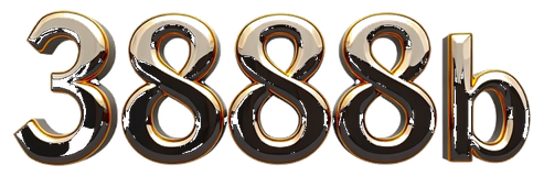 3888b logo